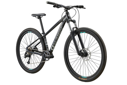 Eastern Alpaka 29 MTB Hardtail Bike - Black