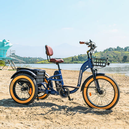 Addmotor 750W 48V Grandtan X Trike Full Suspension Electric Bike