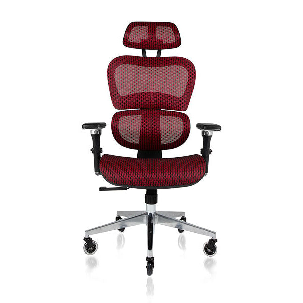 NOUHAUS Ergo3D Ergonomic Office Chair