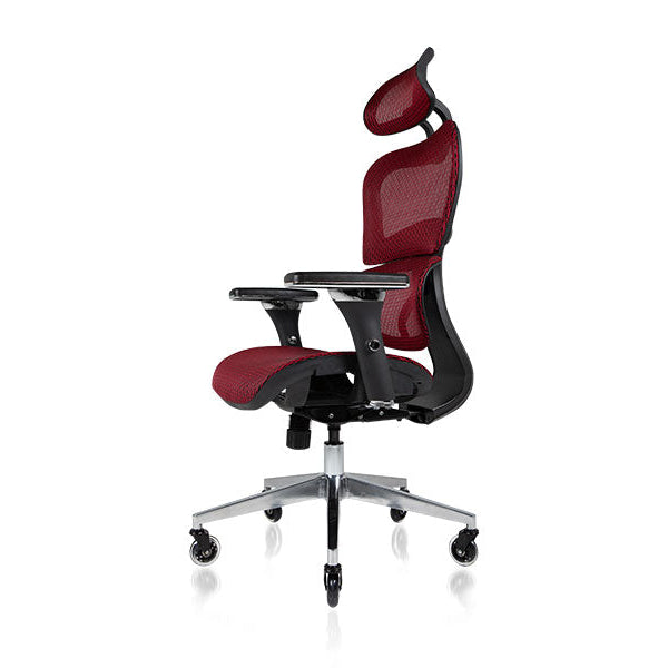 NOUHAUS Ergo3D Ergonomic Office Chair