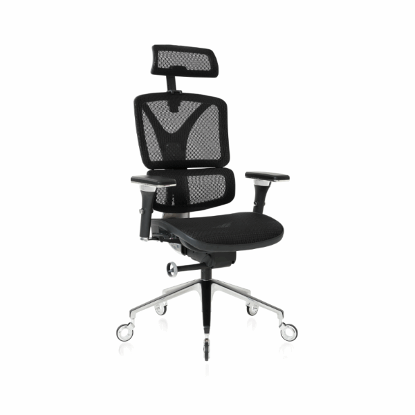 NOUHAUS ErgoPro Ergonomic Office Chair