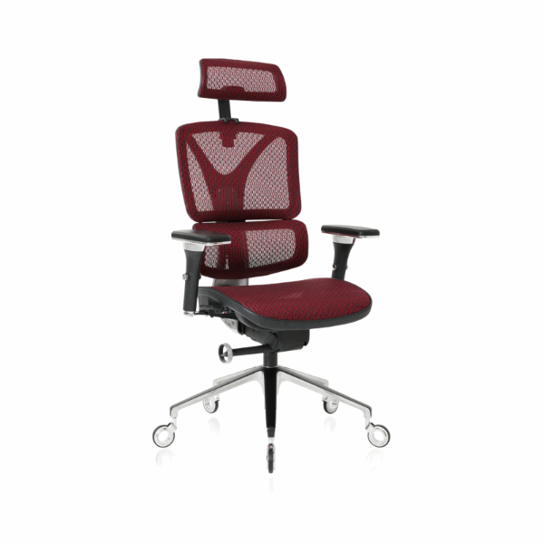 NOUHAUS ErgoPro Ergonomic Office Chair