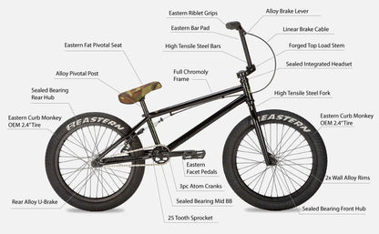 Eastern Thunderbird V1 20" BMX - Black